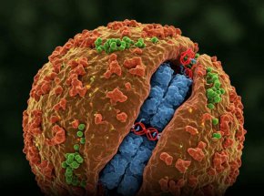 Пробив в лечението на ХИВ чрез CRISPR премахва вирусната ДНК от човешки клетки