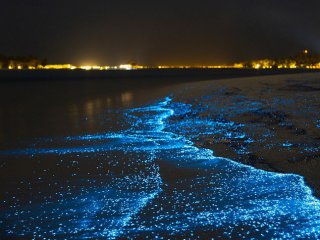 Как "магическо" море се превърна в най-голямата туристическа атракция на Малдивите