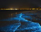 Как "магическо" море се превърна в най-голямата туристическа атракция на Малдивите