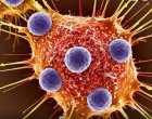 Редактиране на гени чрез CRISPR премахва вирусната ДНК при ХИВ и дава надежда за окончателно излекуване