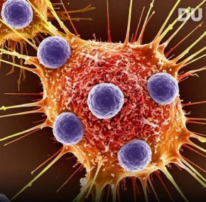 Редактиране на гени чрез CRISPR премахва вирусната ДНК при ХИВ и дава надежда за окончателно излекуване