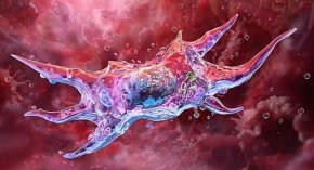  Защо едни жени остаряват по-бързо от други: Изследване с близначки