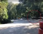 Дрогиран е бил пилотът, врязал се в тълпа във Варна по време на състезание