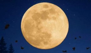 Ловджийска суперлуна ще озари небето на 7 октомври 2025 г.