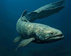 Риба от праисторическите океани живее и днес