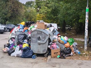 Плъхове плъзнаха с планините боклук в Красно село