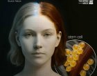  Учени откриха начин за възстановяване на естествения цвят на косата