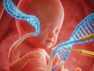  Роди се първото генно-модифицирано бебе в света