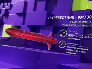 Буревестник с неограничен обхват може да заобикаля противовъздушната отбрана