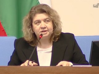 Киселова подаде оставка като председател на НС 