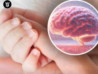 До 100% от интелигентността на детето може да се наследи от майката чрез X хромозомат