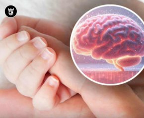 До 100% от интелигентността на детето може да се наследи от майката чрез X хромозомат