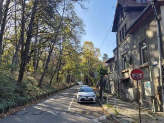 Най-красивата в София ул. Борова гора - без бор, но с история: Улиците на София