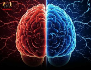  Мозъкът се презарежда всеки ден и заучава повтаряемите навици