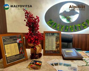  Мальовица с приз за възстановяване