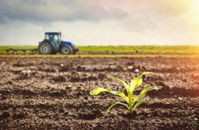 Законова промяна ощетява милиони собственици на земя