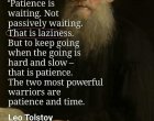  Търпението е чакане. Не пасивно чакане. Това е мързел. Но да продължаваш, когато е трудно и бавно – това е търпение
