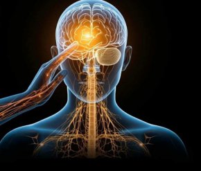 Физическото докосване намалява стреса 