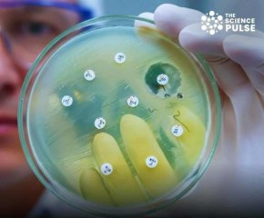 Откриха „суперактивен“ антибиотик 100 пъти по-силен от съществуващите