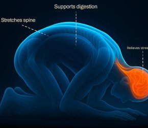 Детска поза (Баласана): 5–10 минути дневно за релакс, гъвкавост и ясна мисъл