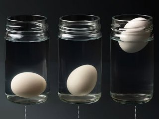 Кое яйце е прясно: Прост тест