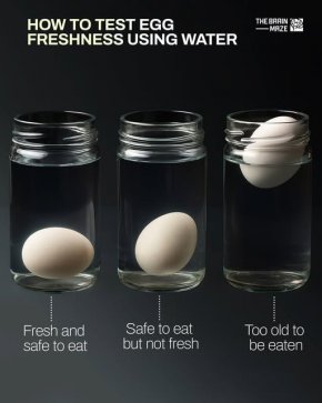 Кое яйце е прясно: Прост тест