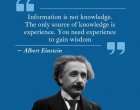 Информацията не е знание. Единственият източник на знание е опитът. Трябва ти опит, за да придобиеш мъдрост  Алберт Айнщайн