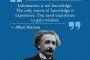 Информацията не е знание. Единственият източник на знание е опитът. Трябва ти опит, за да придобиеш мъдрост  Алберт Айнщайн
