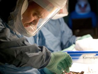 Нелечим вирус избухна в Етиопия: СЗО