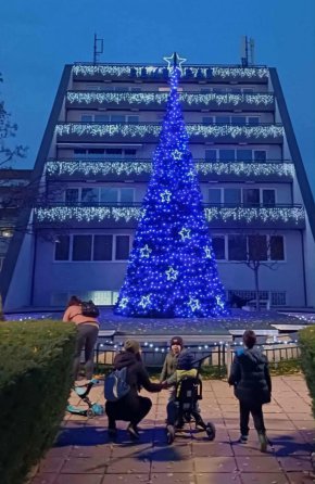  НСА светна елхата: ФОТО НА ДЕНЯ