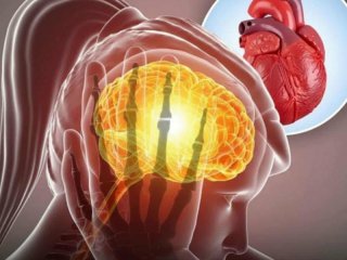 До 75% от заболяванията са свързани със стрес: Как тревожността уврежда сърцето, храносмилането и съня