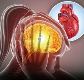 До 75% от заболяванията са свързани със стрес: Как тревожността уврежда сърцето, храносмилането и съня