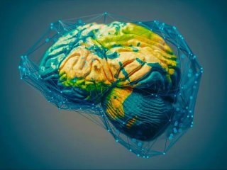 Мозъкът създава реалността: Учените