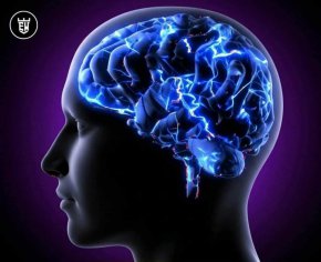 Твърде много време в TikTok може да свие части от мозъка ви