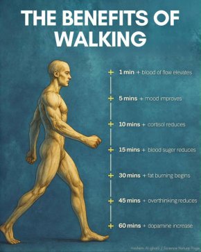 Минутка по минутка: как един час ходене променя тялото и настроението