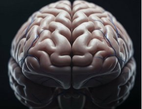 Забравянето може да е признак за по-висок интелект: Изследване