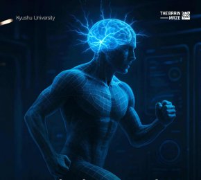 Редовните упражнения могат да намалят травматичните спомени