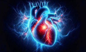Сърцето разполага с мини нервна система, която влияе на усещането за болка