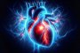 Сърцето разполага с мини нервна система, която влияе на усещането за болка
