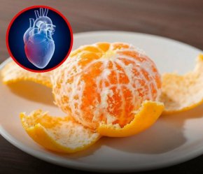 Меката бяла част под кората на цитрусовите плодове съдържа едни от най-ценните хранителни вещества