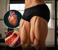 Хората с по-силни и по-плътни бедрени мускули имат по-нисък риск от сърдечни заболявания, диабет и високо кръвно налягане