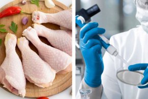 Птичият грип може да предизвика по-сериозна пандемия от COVID-19