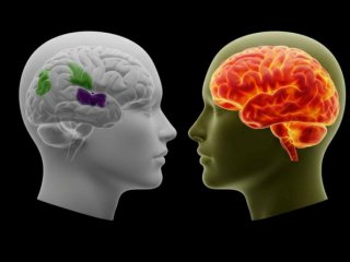  AI намалява паметта и критичното мислене: Изследване