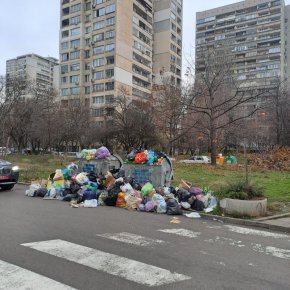 Преливащи кофи с боклук на бул. Самоков, район Изгрев: Фото на деня