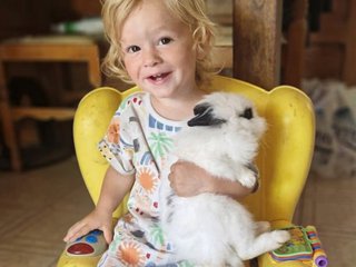 2-годишно дете загина, нападнато от питбула на семейството на гръцки остров