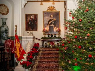   Врана пред Коледа: ФОТО НА ДЕНЯ