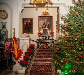   Врана пред Коледа: ФОТО НА ДЕНЯ