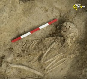   6200-годишен български тийнейджър оцелява след жестока атака от лъв, но умира месеци по-късно