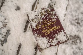  Започнаха снимките на новия игрален филм на БНТ „Коледни агенти“