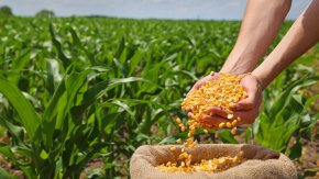 Аграрното салдо на България се влошава до – 8,8 млн. евро